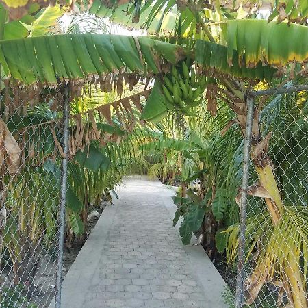 Auberge Pont-Gaudin Gonaives Buitenkant foto