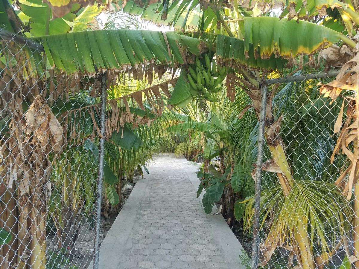 Auberge Pont-Gaudin Gonaives Buitenkant foto